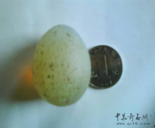 石头个人资料年龄,石头，岁月沉淀的青春印记