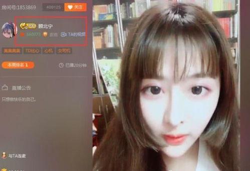 女主播退播奔现,揭秘网络直播背后的真实人生