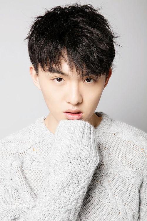 郑伟的个人资料,才华横溢的青年才俊，多领域成就斐然